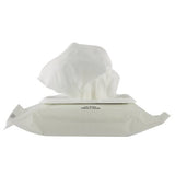 Waproo Antibacterial Bag and Shoe Wipes (on hand)