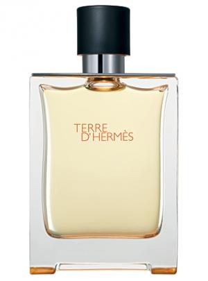Hermes Terre D'Hermes EDT