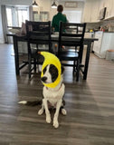 Pet Banana Hat