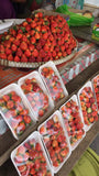 Fresh Strawberry (Baguio) ETA July 23-25